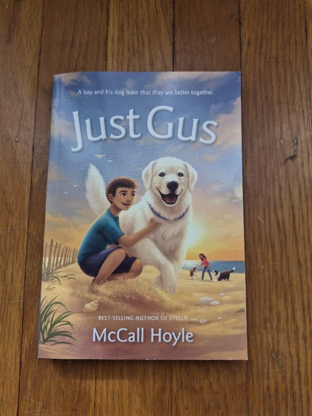Just Gus -A boy and his dog learn they are better together